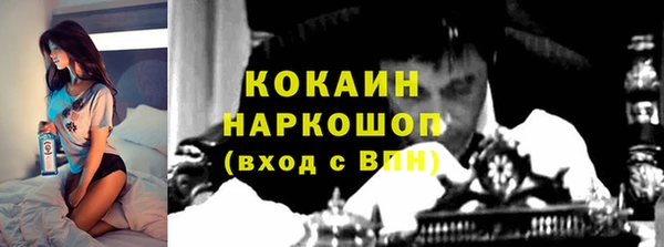 прущие грибы Арсеньев