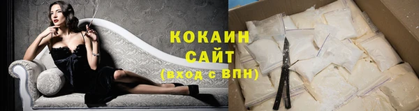 прущие грибы Арсеньев