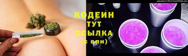 прущие грибы Арсеньев