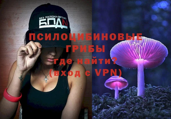 прущие грибы Арсеньев