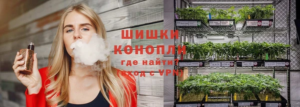 прущие грибы Арсеньев