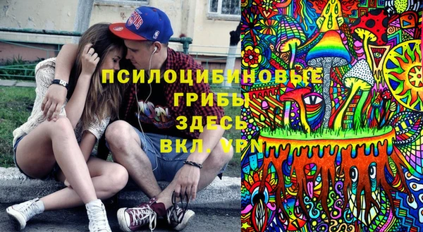 альфа пвп Армянск